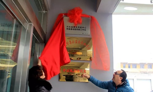 中书协书法考级工作站落户临西
